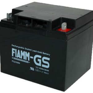 Fiamm GS FG 24204 accu - AGM 12V 42Ah
