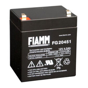 Fiamm FG20451 12V 4,5Ah Standaard  Loodaccu - AGM